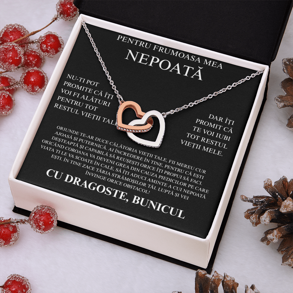 Gift for my dear niece - Pair of Hearts Necklace