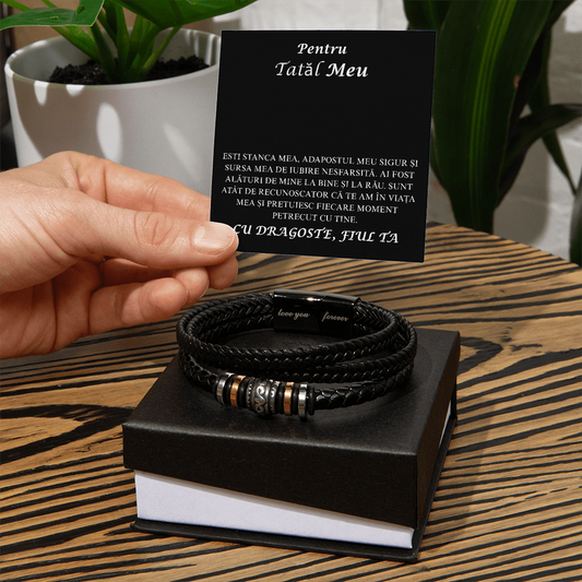 Gift for my dear dad - Braided Leather Bracelet